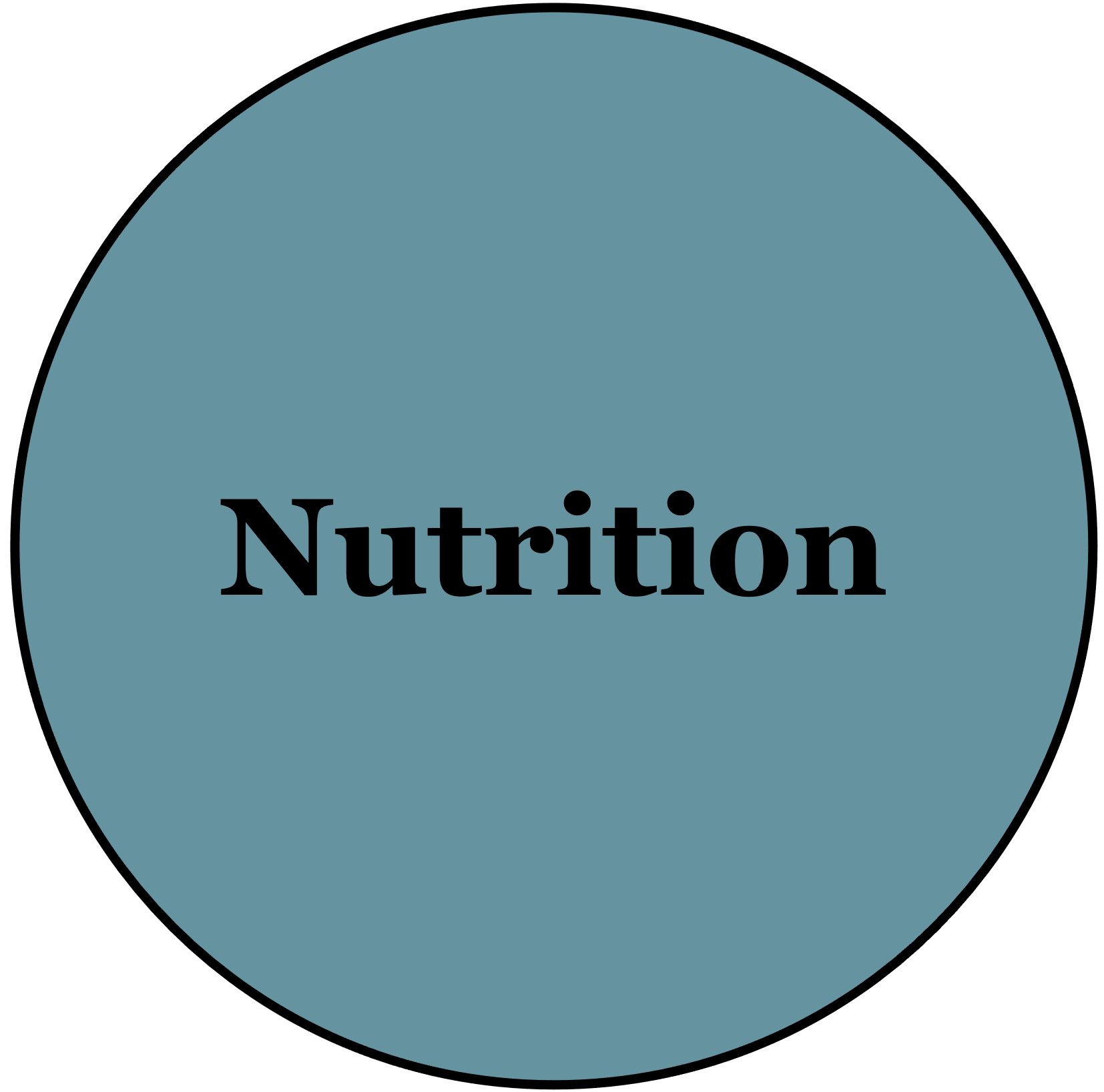 nutrition