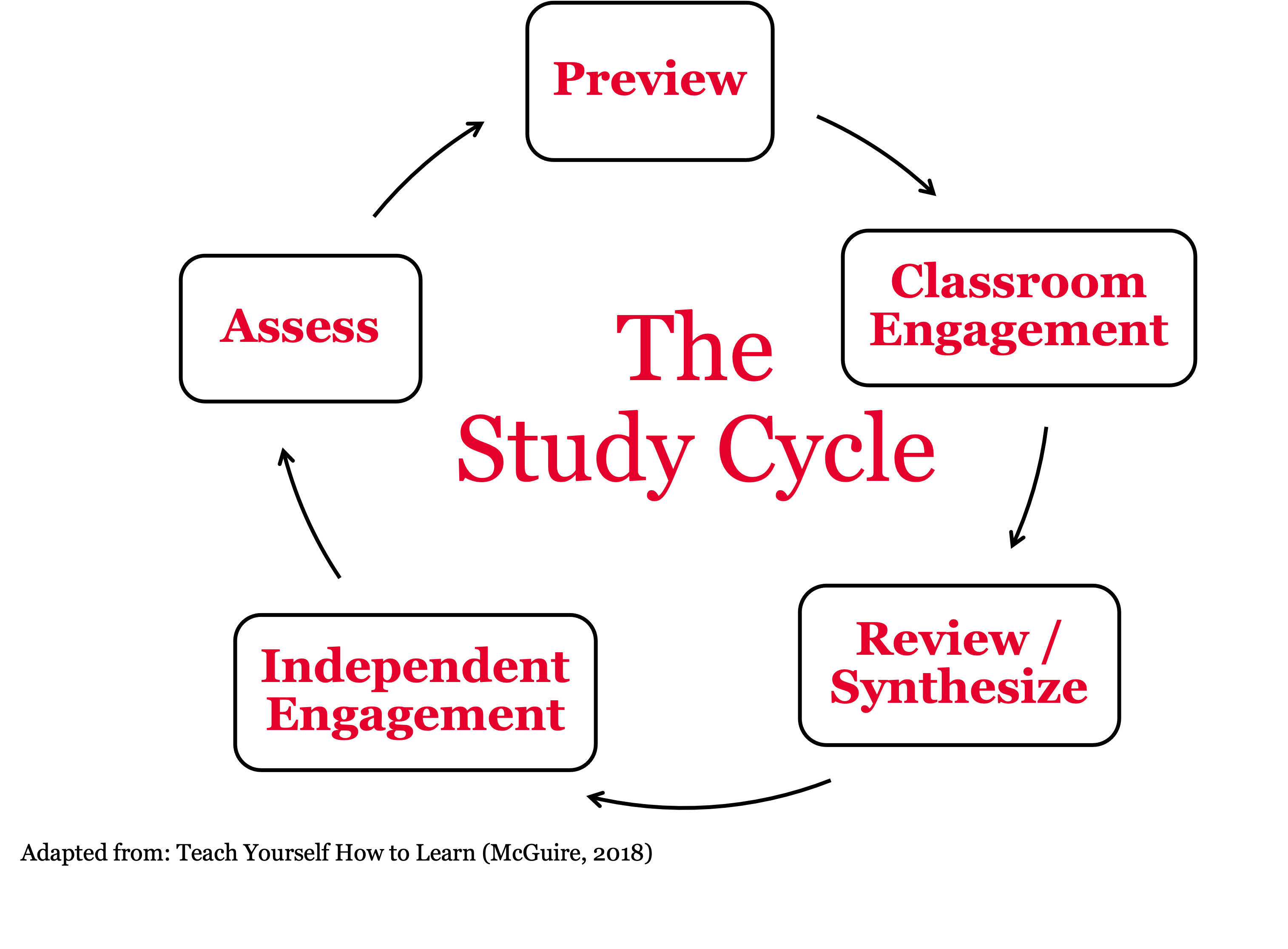 study cycle