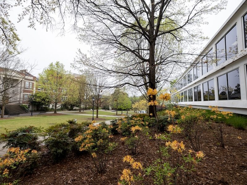 Warnell School of Forestry and Natural Resources